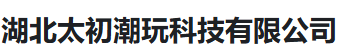 湖北太初潮玩科技有限公司